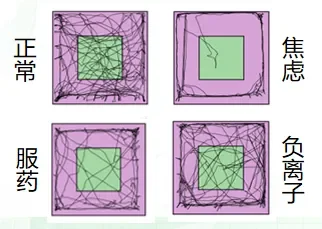 科技赋能·标准引领·生态共赢 | 初存品牌升级一周年全景回顾，打造科技康养第一品牌配图